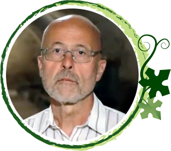 Séra Mihály