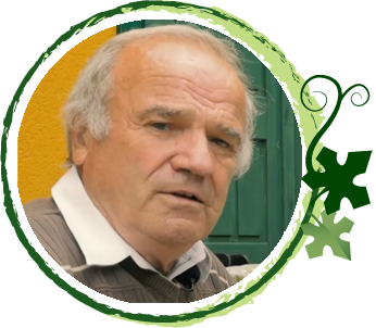 Stróbl Borház - Baj