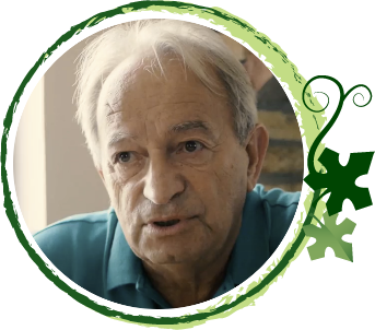 Kamocsay Ákos